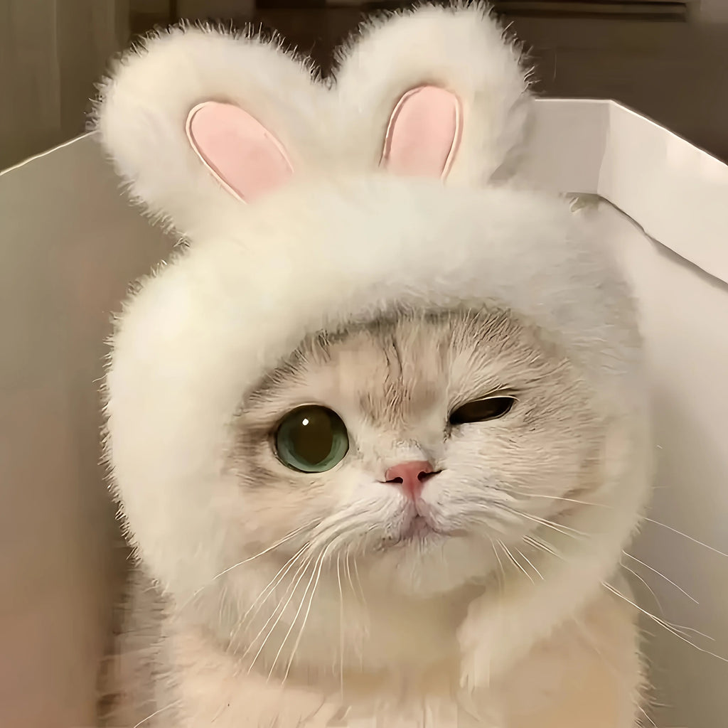 TwoCutesy™ Bunny Ears Cat Hat Themed Pet Costume