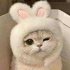 TwoCutesy™ Bunny Ears Cat Hat Themed Pet Costume