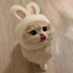 TwoCutesy™ Bunny Ears Cat Hat Themed Pet Costume