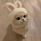TwoCutesy™ Bunny Ears Cat Hat Themed Pet Costume