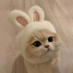 TwoCutesy™ Bunny Ears Cat Hat Themed Pet Costume